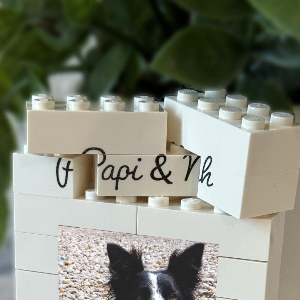 1PC Özel Evcil Hayvan Yapı Taş - Building Blocks incelemesi ve fiyatı